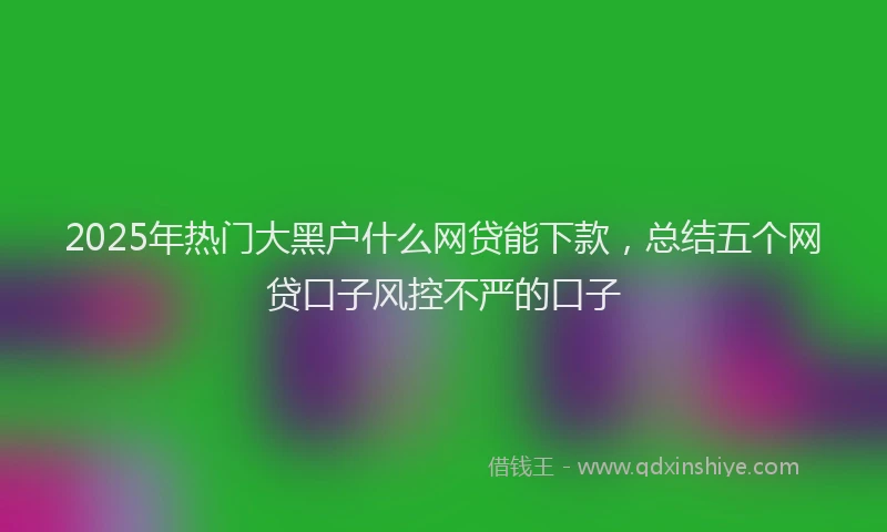 2025年热门大黑户什么网贷能下款，总结五个网贷口子风控不严的口子