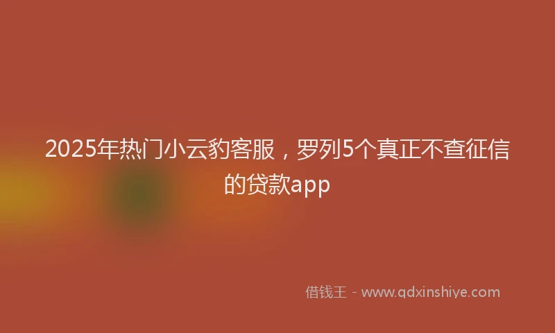 2025年热门小云豹客服，罗列5个真正不查征信的贷款app