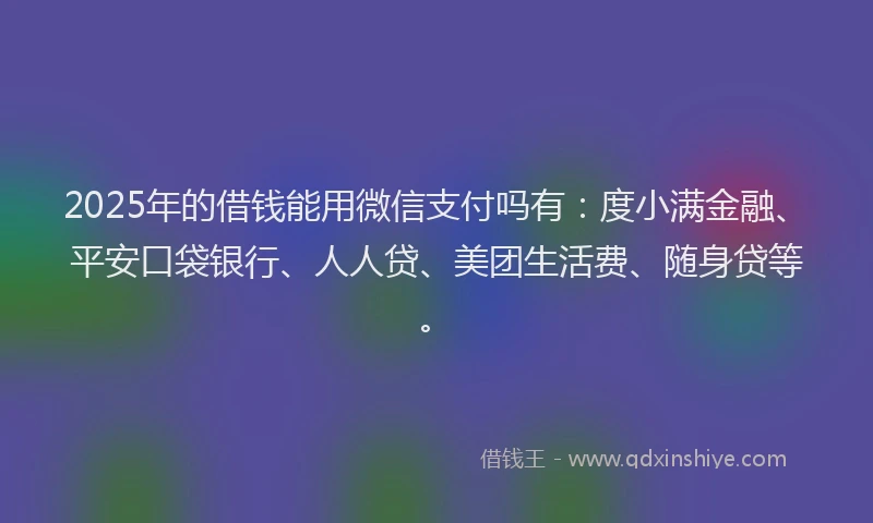 2025年的借钱能用微信支付吗有：度小满金融、平安口袋银行、人人贷、美团生活费、随身贷等。