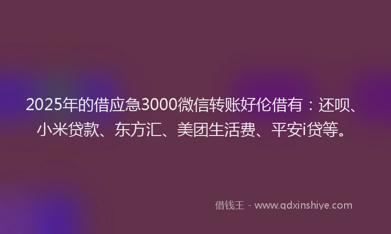2025年的借应急3000微信转账好伦借有：还呗、小米贷款、东方汇、美团生活费、平安i贷等。