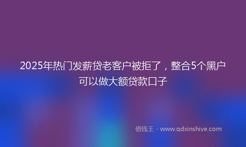 2025年热门发薪贷老客户被拒了，整合5个黑户可以做大额贷款口子