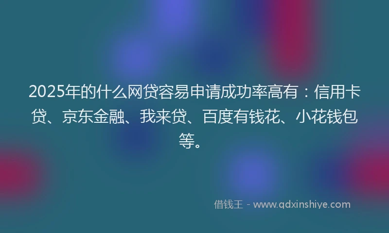 2025年的什么网贷容易申请成功率高有：信用卡贷、京东金融、我来贷、百度有钱花、小花钱包等。