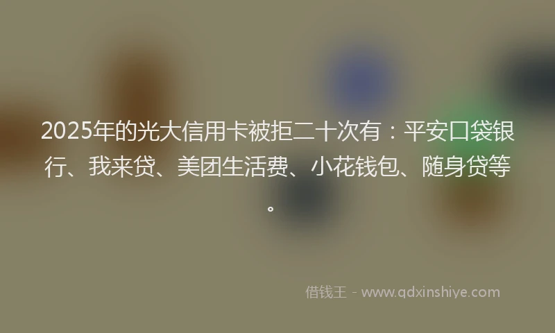 2025年的光大信用卡被拒二十次有：平安口袋银行、我来贷、美团生活费、小花钱包、随身贷等。
