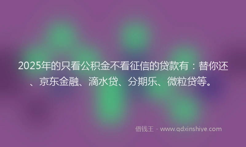 2025年的只看公积金不看征信的贷款有：替你还、京东金融、滴水贷、分期乐、微粒贷等。