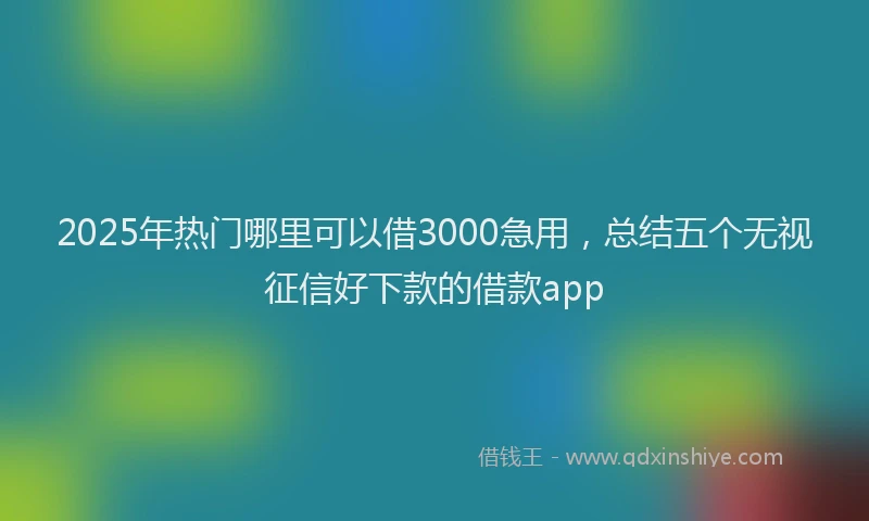 2025年热门哪里可以借3000急用，总结五个无视征信好下款的借款app