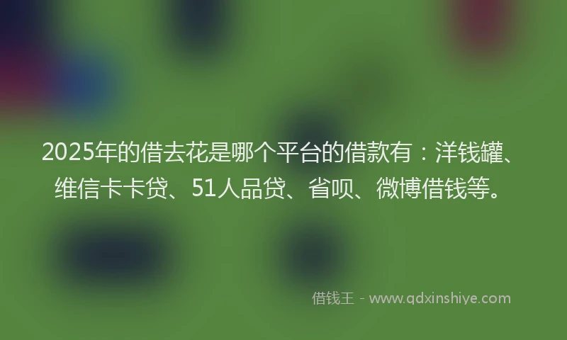 2025年的借去花是哪个平台的借款有：洋钱罐、维信卡卡贷、51人品贷、省呗、微博借钱等。