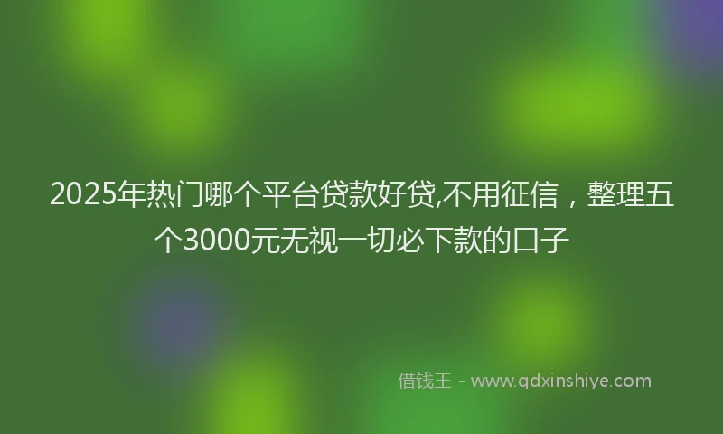 2025年热门哪个平台贷款好贷,不用征信，整理五个3000元无视一切必下款的口子