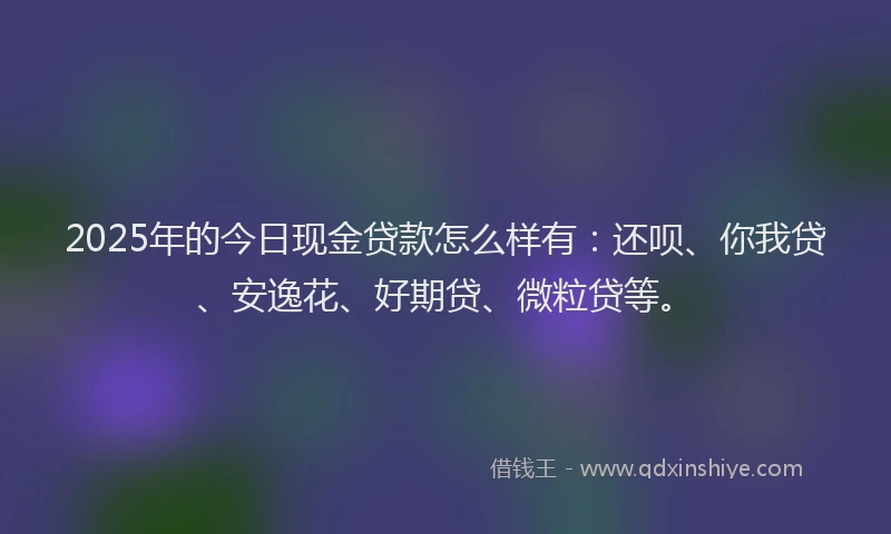 2025年的今日现金贷款怎么样有：还呗、你我贷、安逸花、好期贷、微粒贷等。