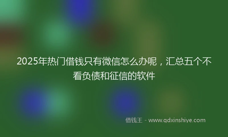 2025年热门借钱只有微信怎么办呢，汇总五个不看负债和征信的软件