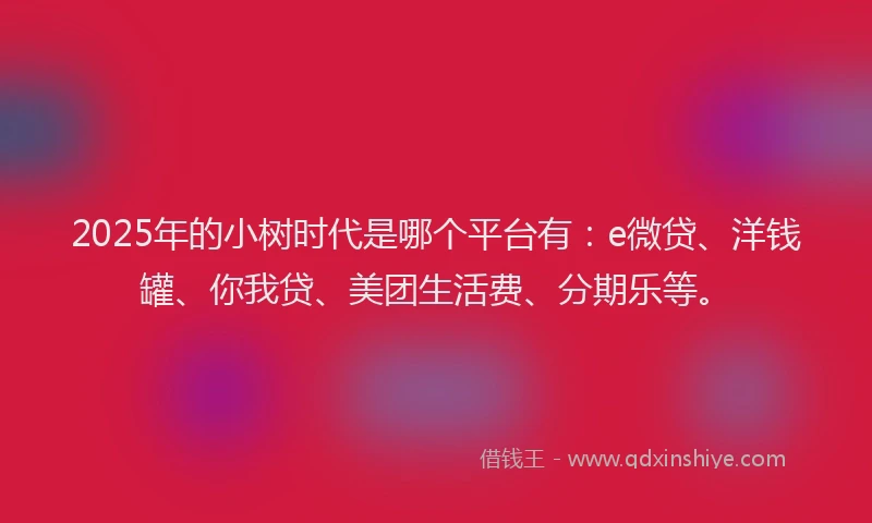 2025年的小树时代是哪个平台有：e微贷、洋钱罐、你我贷、美团生活费、分期乐等。