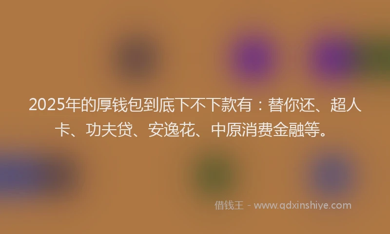 2025年的厚钱包到底下不下款有：替你还、超人卡、功夫贷、安逸花、中原消费金融等。