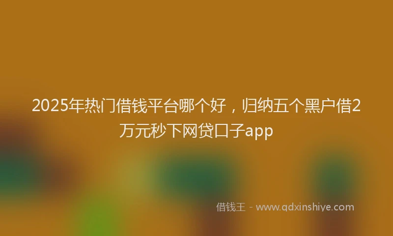 2025年热门借钱平台哪个好，归纳五个黑户借2万元秒下网贷口子app