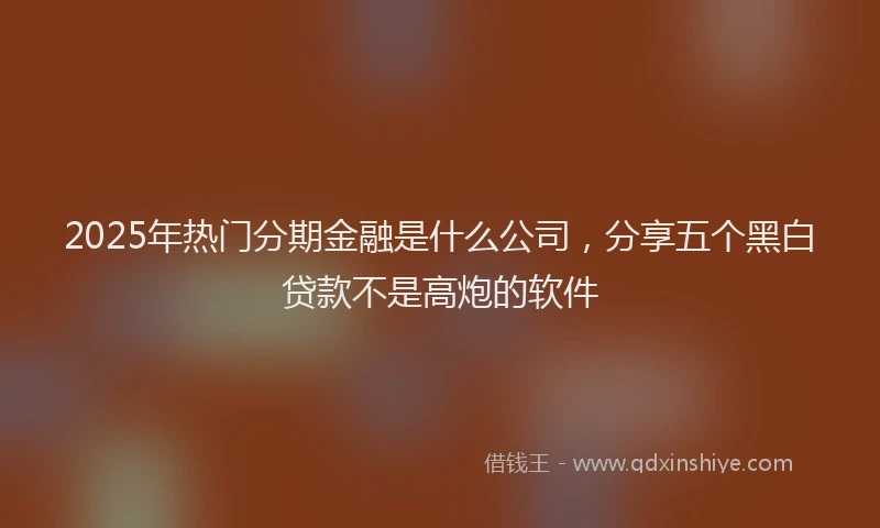 2025年热门分期金融是什么公司，分享五个黑白贷款不是高炮的软件
