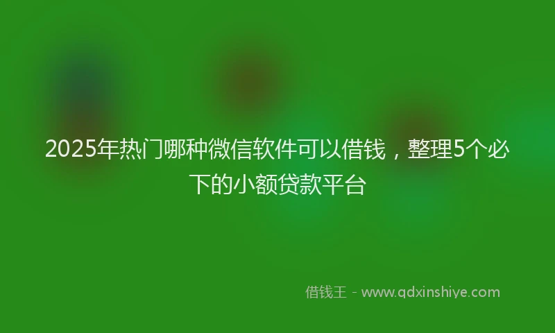 2025年热门哪种微信软件可以借钱，整理5个必下的小额贷款平台