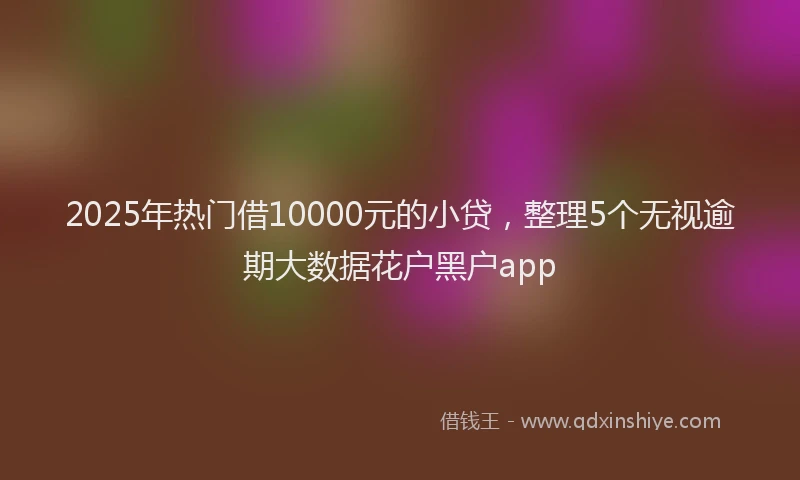 2025年热门借10000元的小贷，整理5个无视逾期大数据花户黑户app