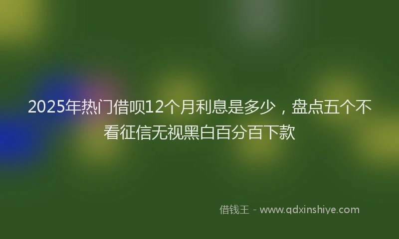 2025年热门借呗12个月利息是多少,盘点五个不看征信无视黑白百分百下款