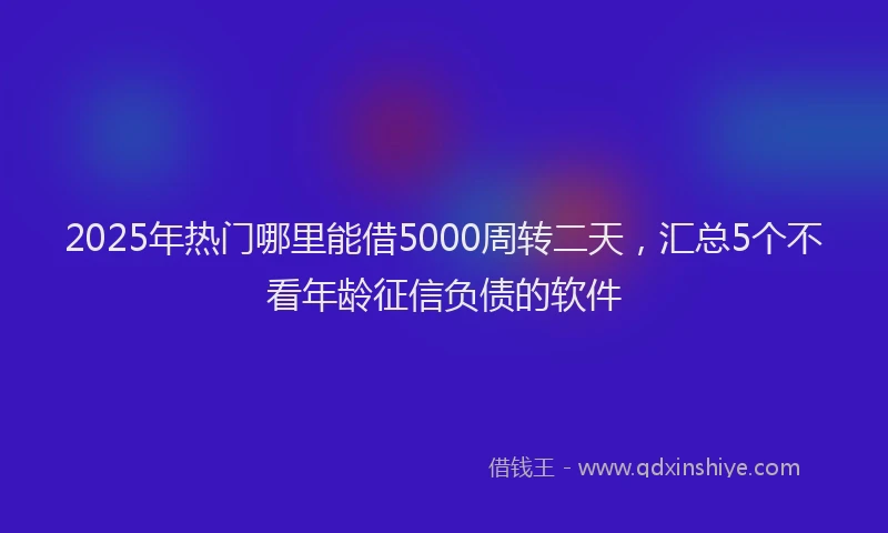2025年热门哪里能借5000周转二天，汇总5个不看年龄征信负债的软件