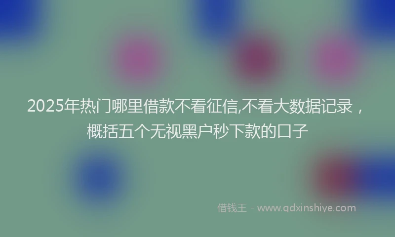 2025年热门哪里借款不看征信,不看大数据记录，概括五个无视黑户秒下款的口子