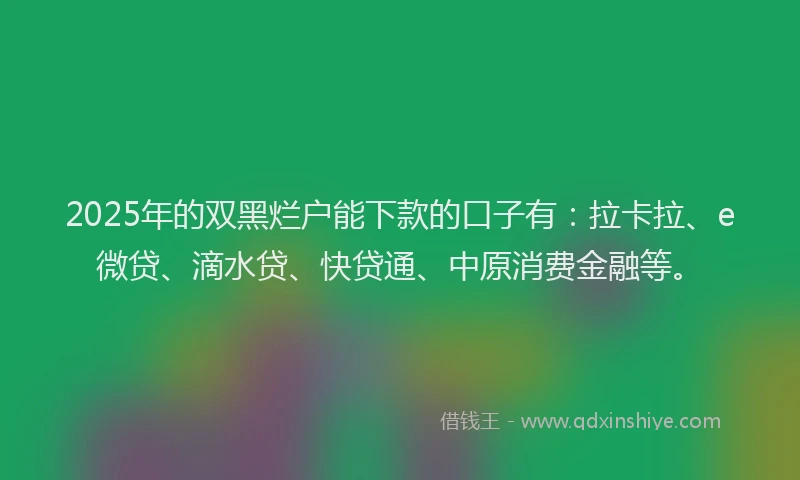 2025年的双黑烂户能下款的口子有：拉卡拉、e微贷、滴水贷、快贷通、中原消费金融等。