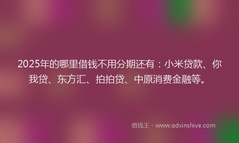 2025年的哪里借钱不用分期还有：小米贷款、你我贷、东方汇、拍拍贷、中原消费金融等。