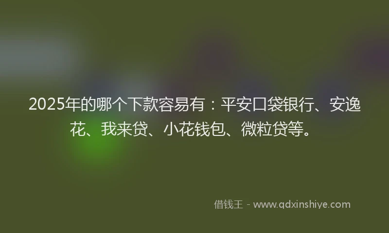 2025年的哪个下款容易有：平安口袋银行、安逸花、我来贷、小花钱包、微粒贷等。