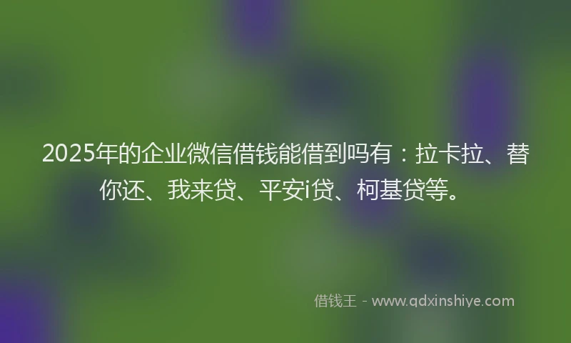 2025年的企业微信借钱能借到吗有：拉卡拉、替你还、我来贷、平安i贷、柯基贷等。