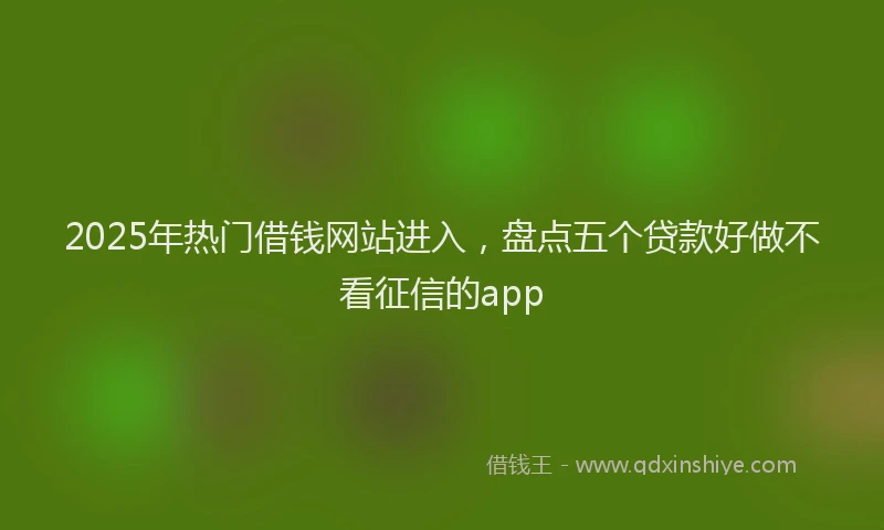 2025年热门借钱网站进入，盘点五个贷款好做不看征信的app
