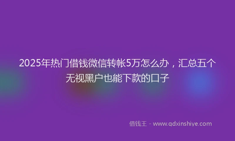 2025年热门借钱微信转帐5万怎么办，汇总五个无视黑户也能下款的口子