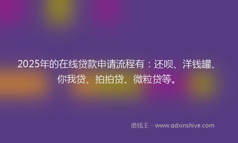 2025年的在线贷款申请流程有：还呗、洋钱罐、你我贷、拍拍贷、微粒贷等。