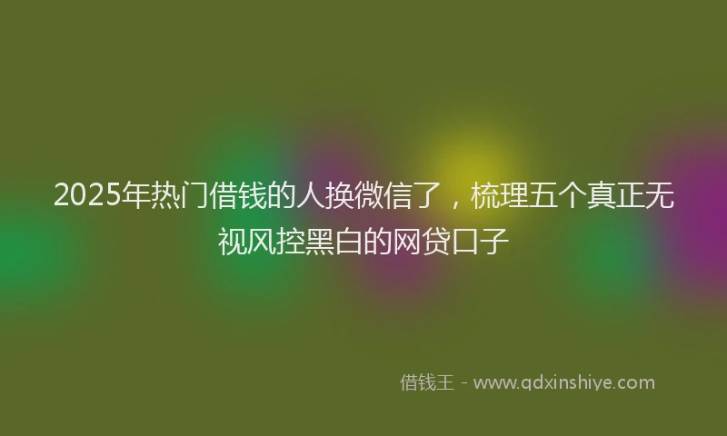 2025年热门借钱的人换微信了，梳理五个真正无视风控黑白的网贷口子