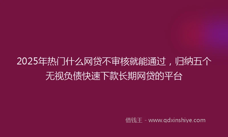 2025年热门什么网贷不审核就能通过，归纳五个无视负债快速下款长期网贷的平台