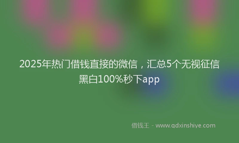 2025年热门借钱直接的微信，汇总5个无视征信黑白100%秒下app