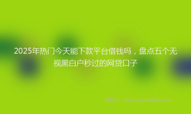 2025年热门今天能下款平台借钱吗，盘点五个无视黑白户秒过的网贷口子