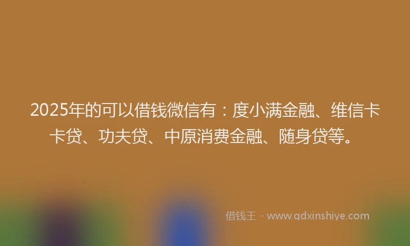 2025年的可以借钱微信有：度小满金融、维信卡卡贷、功夫贷、中原消费金融、随身贷等。