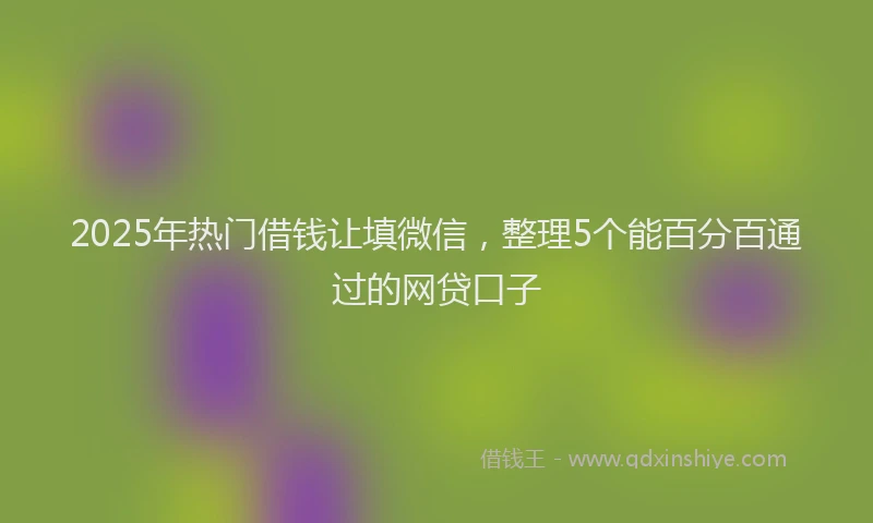 2025年热门借钱让填微信，整理5个能百分百通过的网贷口子