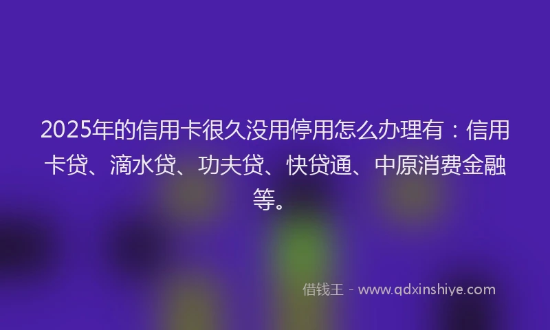2025年的信用卡很久没用停用怎么办理有：信用卡贷、滴水贷、功夫贷、快贷通、中原消费金融等。