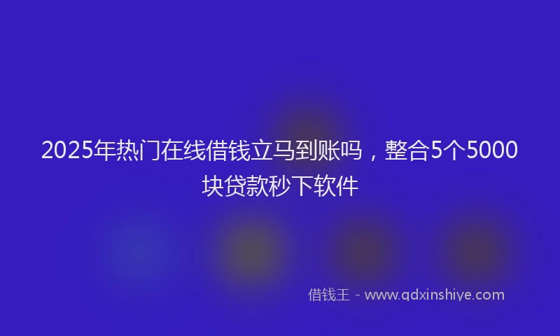 2025年热门在线借钱立马到账吗，整合5个5000块贷款秒下软件