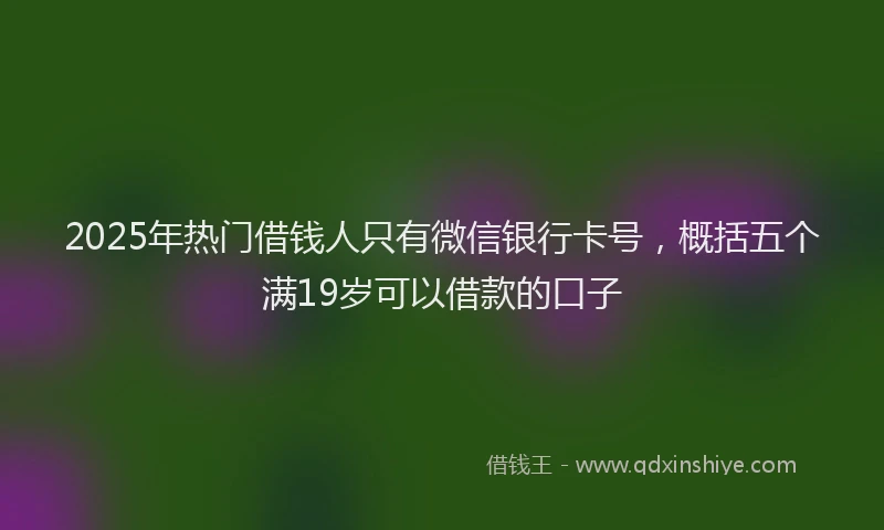 2025年热门借钱人只有微信银行卡号，概括五个满19岁可以借款的口子