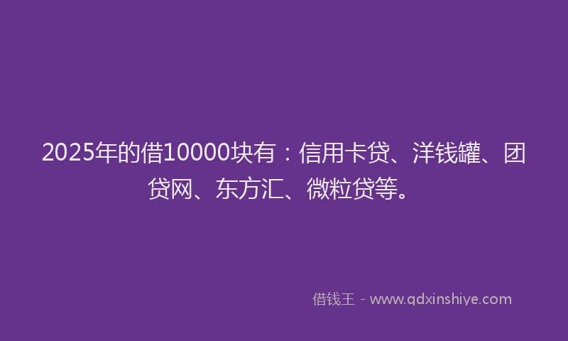 2025年的借10000块有：信用卡贷、洋钱罐、团贷网、东方汇、微粒贷等。