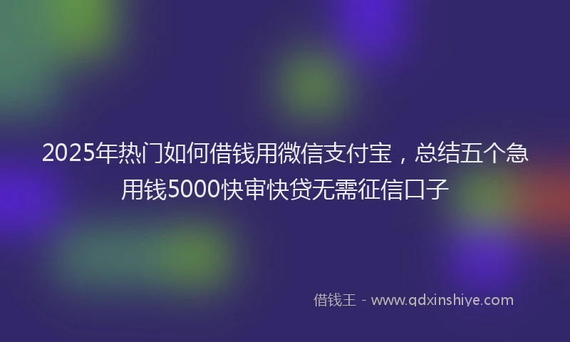 2025年热门如何借钱用微信支付宝，总结五个急用钱5000快审快贷无需征信口子
