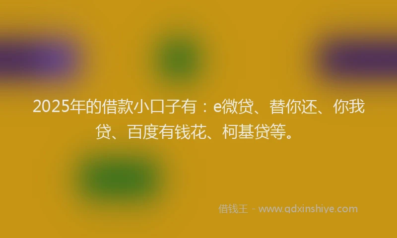 2025年的借款小口子有：e微贷、替你还、你我贷、百度有钱花、柯基贷等。