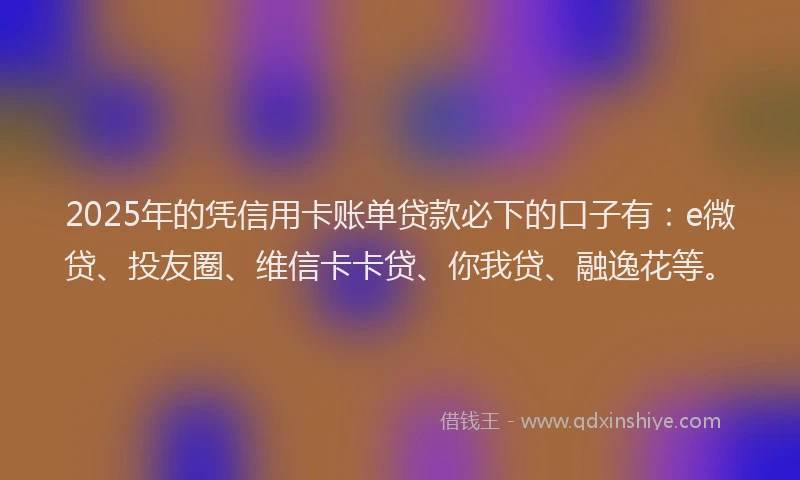 2025年的凭信用卡账单贷款必下的口子有：e微贷、投友圈、维信卡卡贷、你我贷、融逸花等。