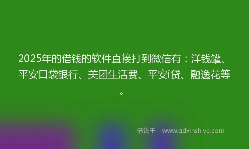 2025年的借钱的软件直接打到微信有：洋钱罐、平安口袋银行、美团生活费、平安i贷、融逸花等。