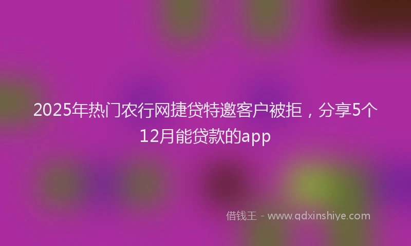 2025年热门农行网捷贷特邀客户被拒，分享5个12月能贷款的app