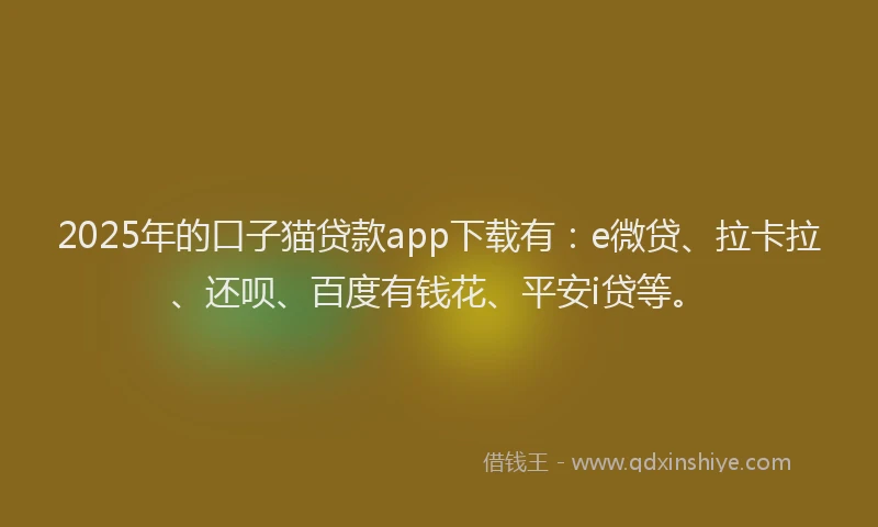 2025年的口子猫贷款app下载有：e微贷、拉卡拉、还呗、百度有钱花、平安i贷等。
