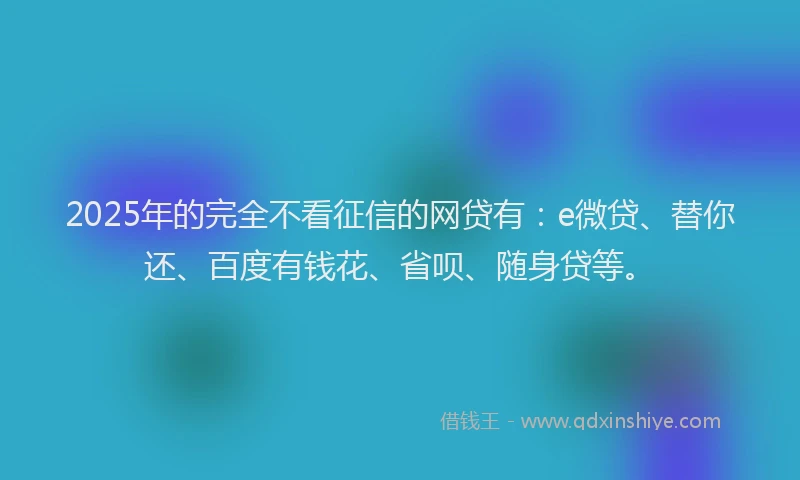 2025年的完全不看征信的网贷有：e微贷、替你还、百度有钱花、省呗、随身贷等。