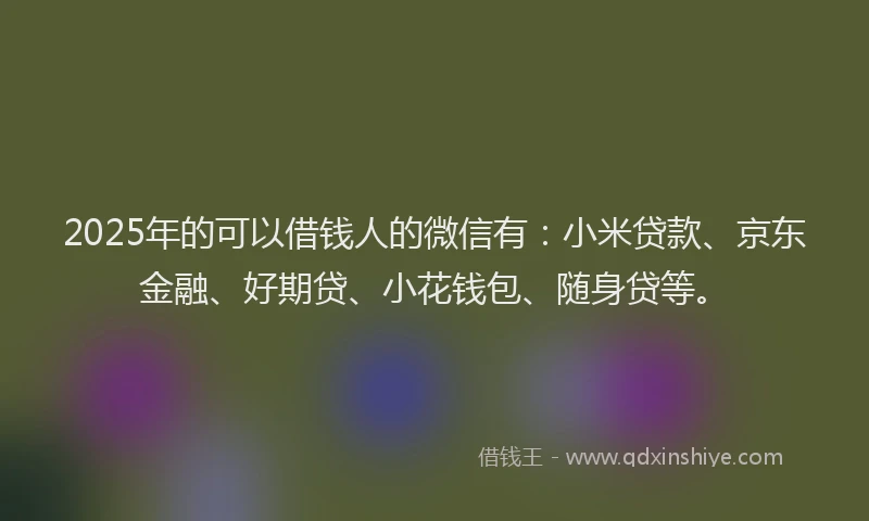 2025年的可以借钱人的微信有：小米贷款、京东金融、好期贷、小花钱包、随身贷等。