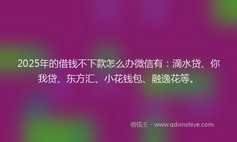2025年的借钱不下款怎么办微信有：滴水贷、你我贷、东方汇、小花钱包、融逸花等。