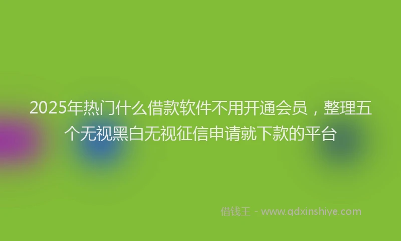 2025年热门什么借款软件不用开通会员，整理五个无视黑白无视征信申请就下款的平台