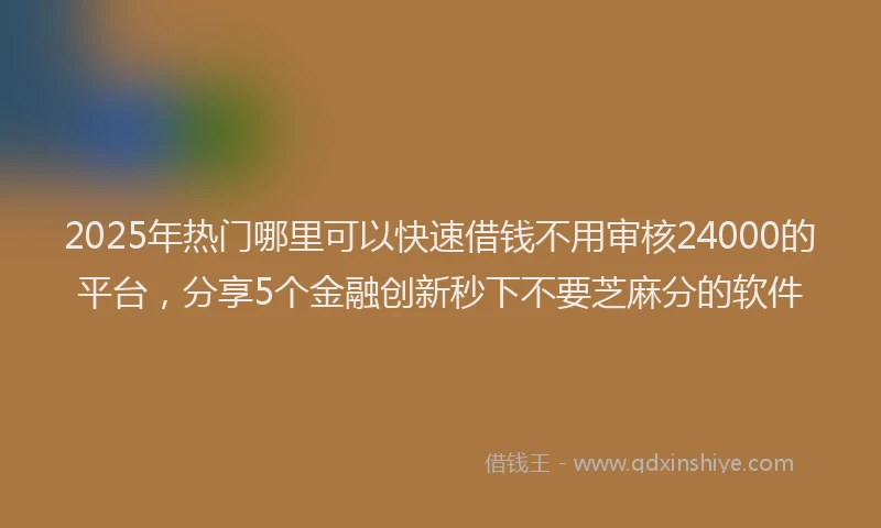 2025年热门哪里可以快速借钱不用审核24000的平台，分享5个金融创新秒下不要芝麻分的软件